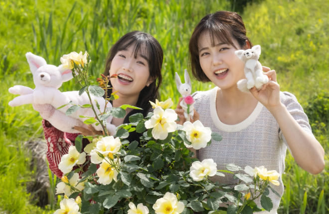 에버랜드가 자체 개발한 장미 품종 앞에서 사막여우 굿즈를 들고 있는 모습. 사진=에버랜드