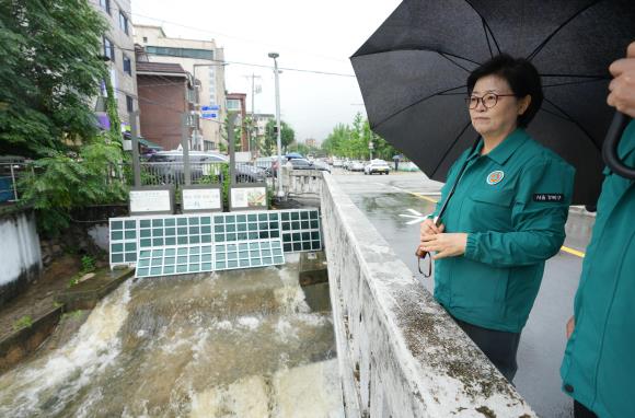 지난해 풍수해 대비 현황을 점검하고 있는 이순희 강북구청장의 모습