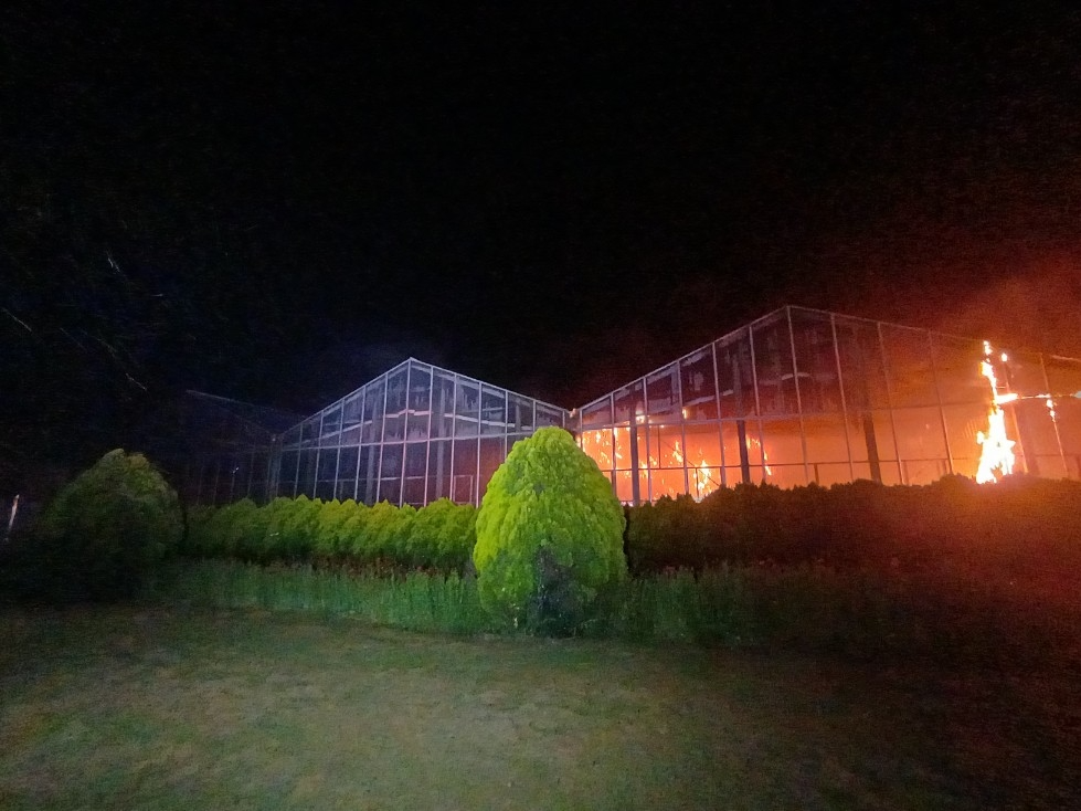 식물원 화재 현장(사진=연합뉴스)
