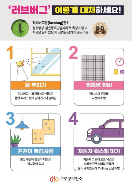 러브버그(붉은등우단털파리) 대처 안내문