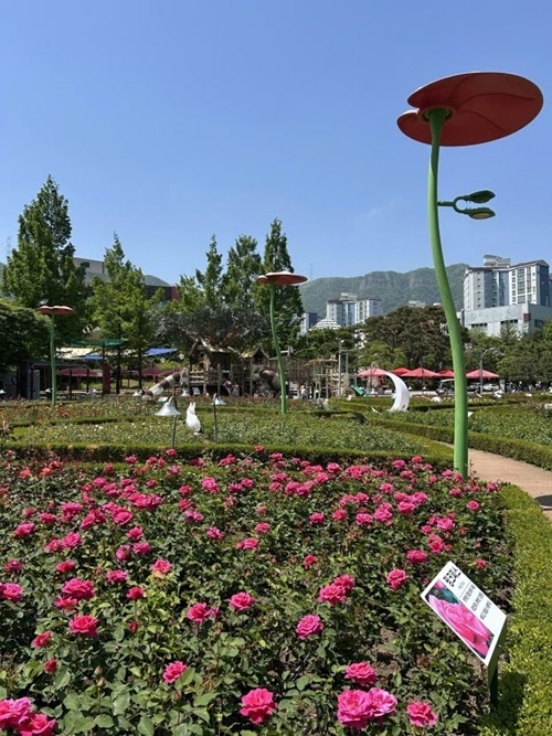 (사진제공=부산 기장군)