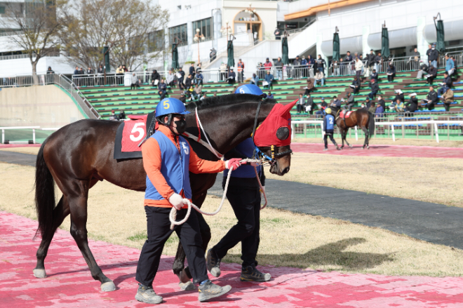 오는 18일 서울마주협회장배(G2) "어차피 우승은 빈체로카발로?"