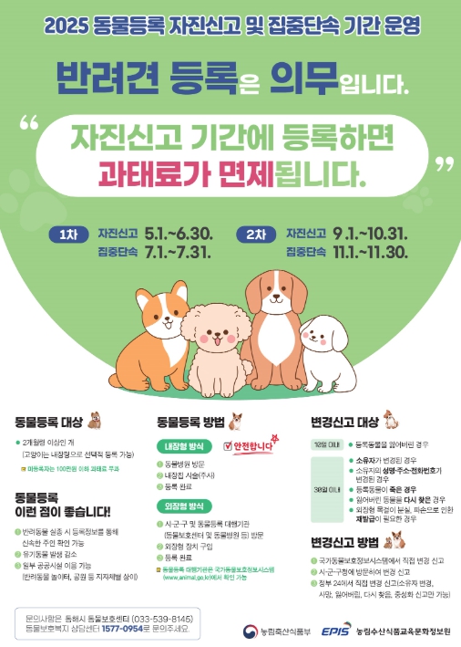 동해시, 동물등록 자진신고기간 운영