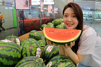 롯데마트, ‘꿀맛 수박 페스티벌’ 진행
