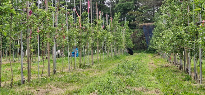 (사진제공=포항보호관찰소)