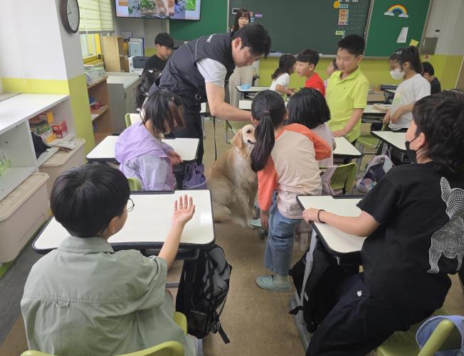 원주시, 초등학생 대상 동물 생명 존중 교육 실시