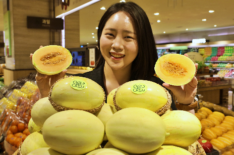 롯데百, 신품종 솜사탕 멜론 판매