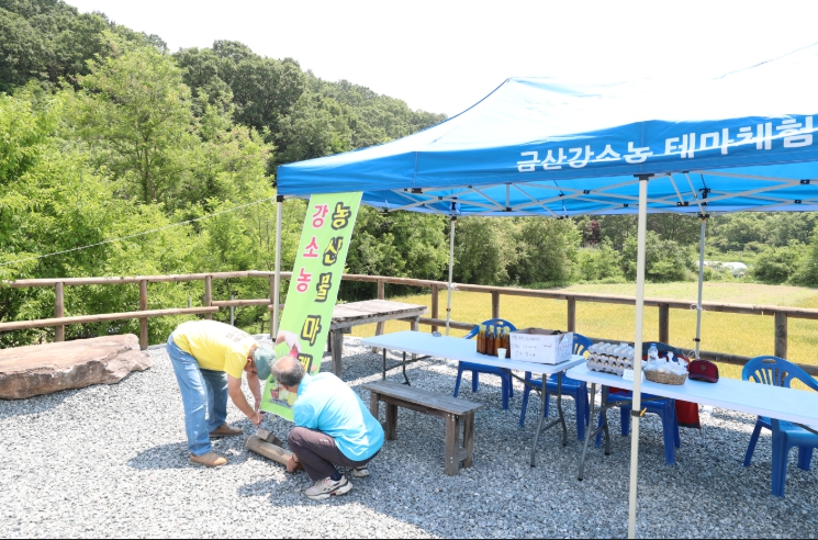 강소농 테마체험 농산물 마켓 부스 준비 모습