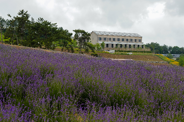 상하농원, 여름 테마파크 개장