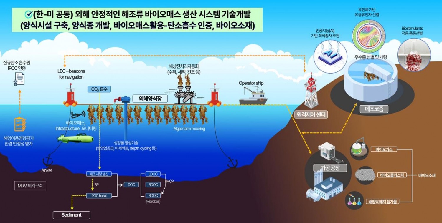 사업흐름도