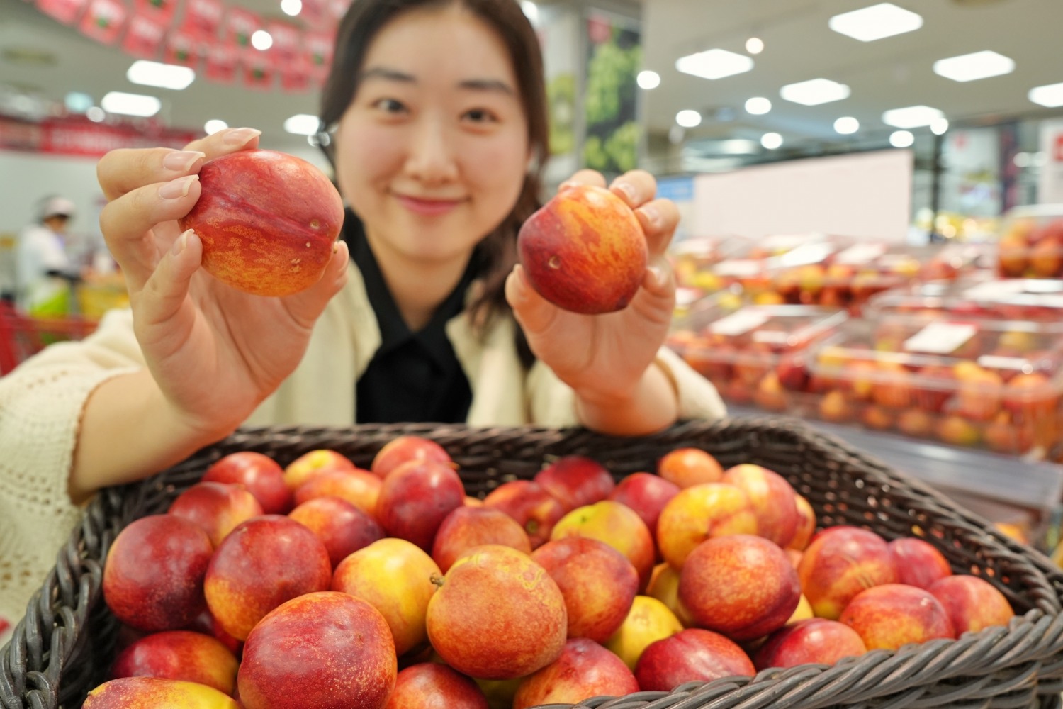 롯데마트∙슈퍼, ‘상생 천도복숭아’ 선보여