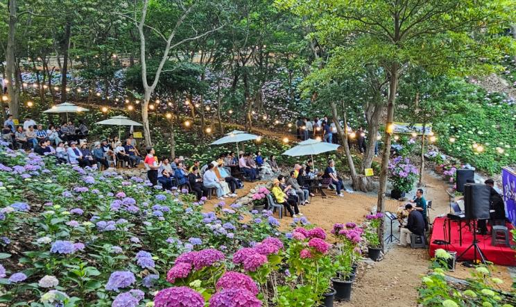 진도군, ‘운림 수국의 밤’ 성료