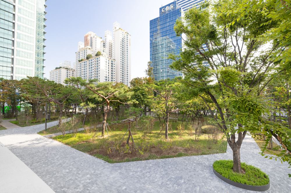 대한항공이 1차 그린 스카이패스(GREEN SKYPASS)로 도심 숲 조성에 참여한 서울 양천구 오목공원 전경.(사진=대한항공)