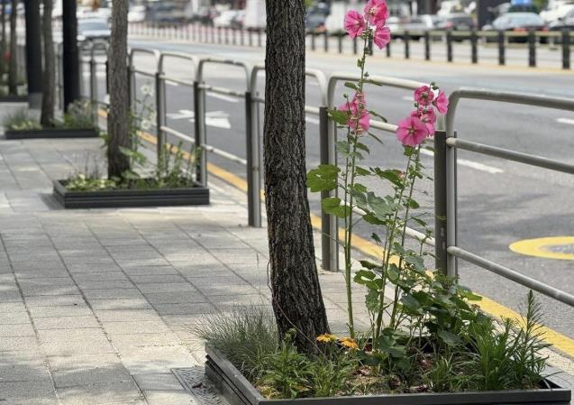 서대문구가 통일로 변 가로수 길에 조성한 ‘한뼘정원’