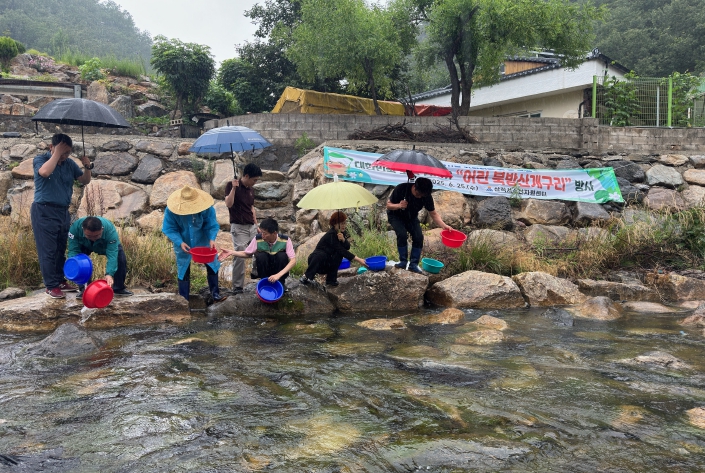 삼척시, 토종 어린 북방산개구리 5만 마리 방사