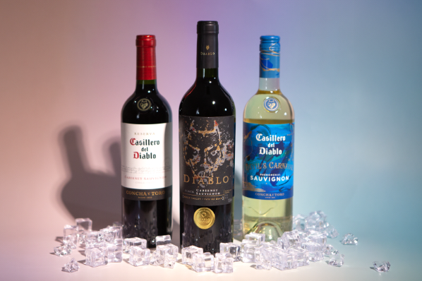 아영FBC 디아블로 ‘국민감사제’ 진행