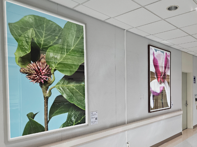 국민건강보험 일산병원, 경기문화재단 공동 주최 미술 전시 개최