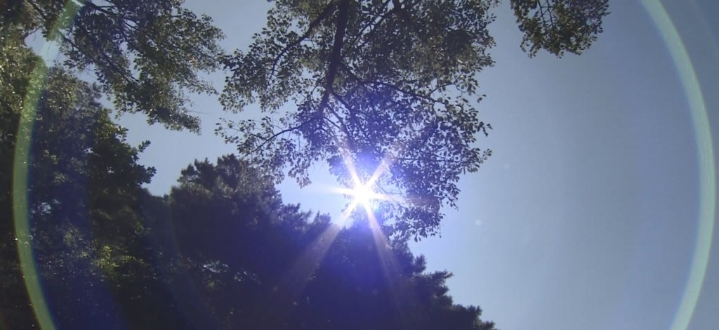 폭염(사진=연합뉴스) /기사와 무관