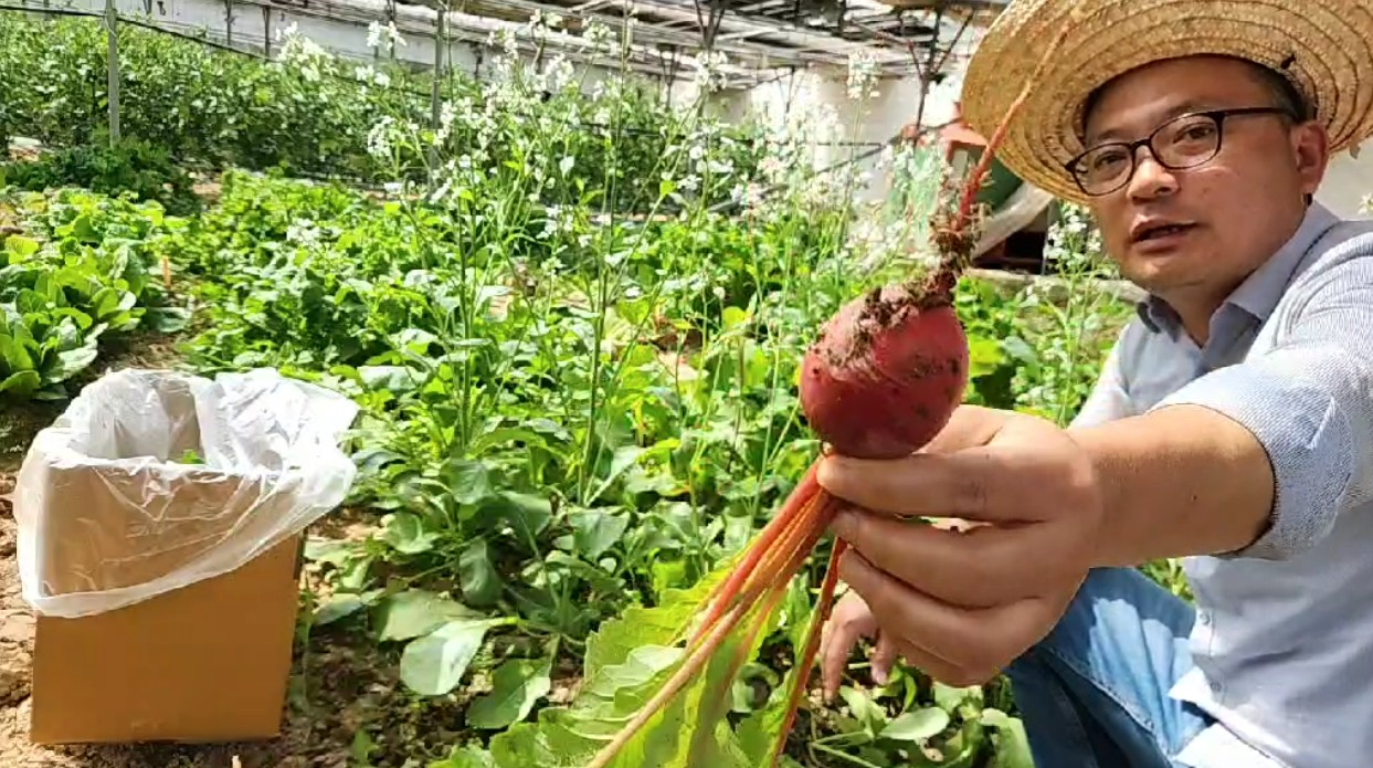 버추얼 모닝 뉴스에 라방하는 농부…이색 스트리머 부각되는 'SOOP'