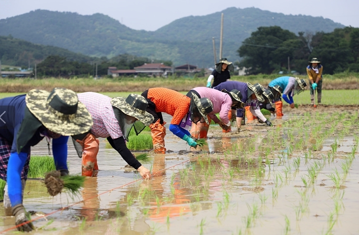 정읍시, 공익직불금 부정수급 뿌리 뽑는다