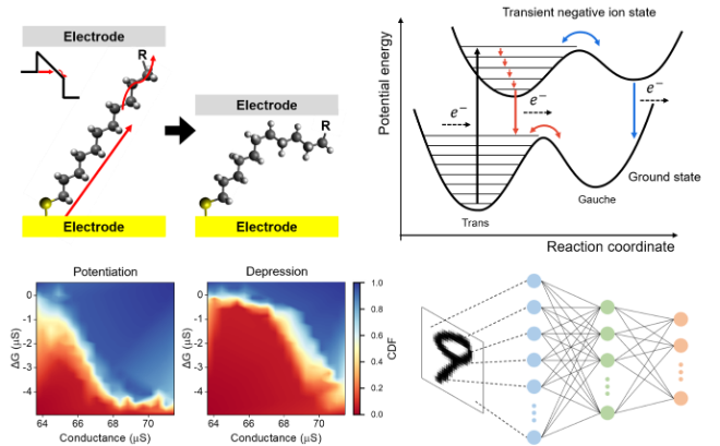 분자 멤리스터의 구동 원리 및 인공시냅스 특성. 사진=서강대