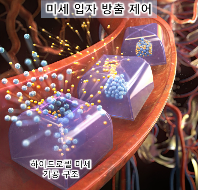 환경 반응 하이드로젤 미세 기공 제어를 통한 단계적 미세 입자 방출. 사진=한국연구재단