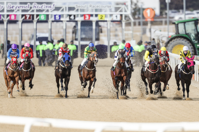 "감 대신 수학으로 경마하기"...기댓값과 켈리 공식 베팅 전략