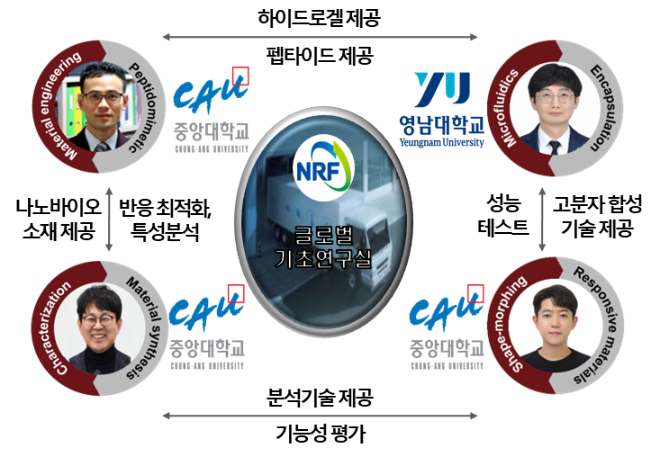 중앙대 박종필 교수 연구팀, 과기정통부 기초연구실 과제 선정