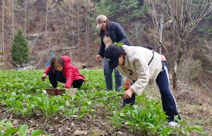 평창군, "강원에서 살아보기 프로그램" 성공적 마무리
