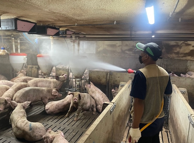 농업인이 악취 저감 미생물을 살포하고 있다.