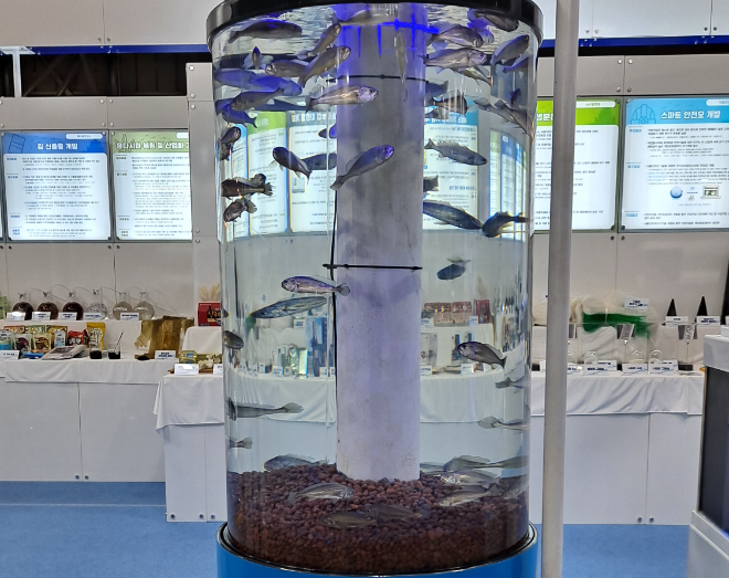 국립수산과학원, 참조기 양식산업화 실증시험 본격 착수