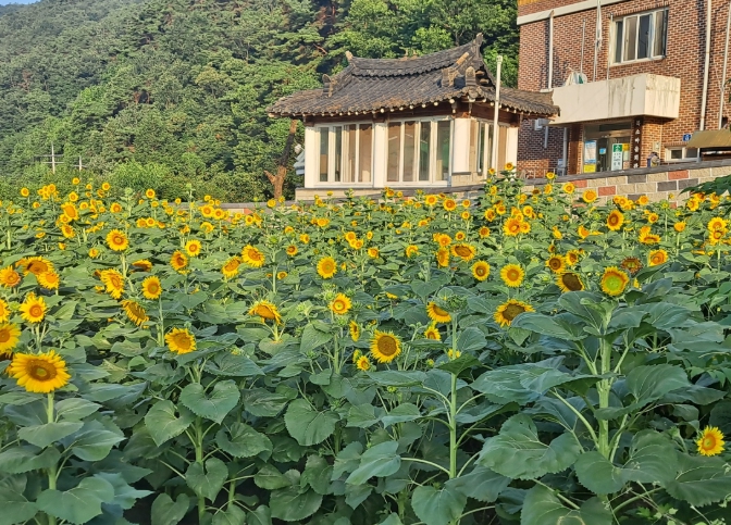 청정전남 으뜸마을 추진현황 현장점검