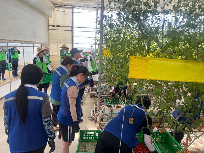 콘진원, 폭우 피해 농가 긴급 복구활동 지원