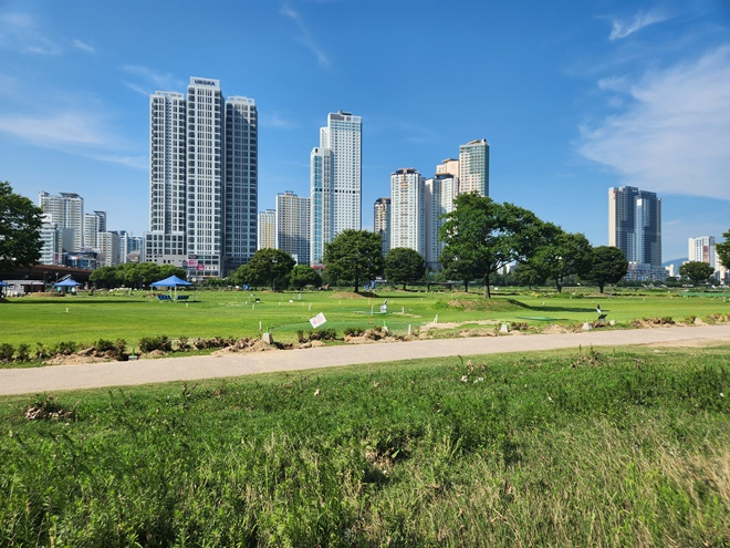 (사진제공=제보자)