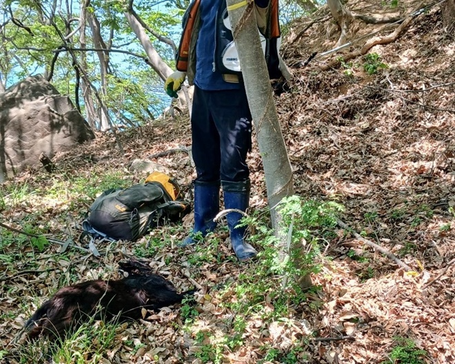 (사진제공=부산경찰청)