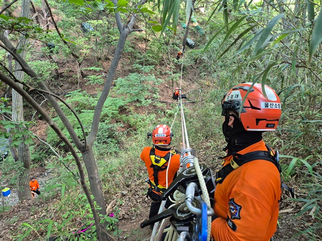 (사진제공=울산시)