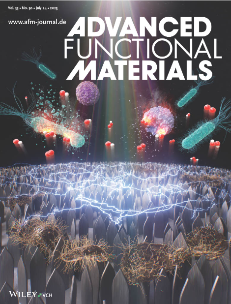 세종대 정재희 교수 연구팀, '이중 살균 나노블레이드 섬유' 개발