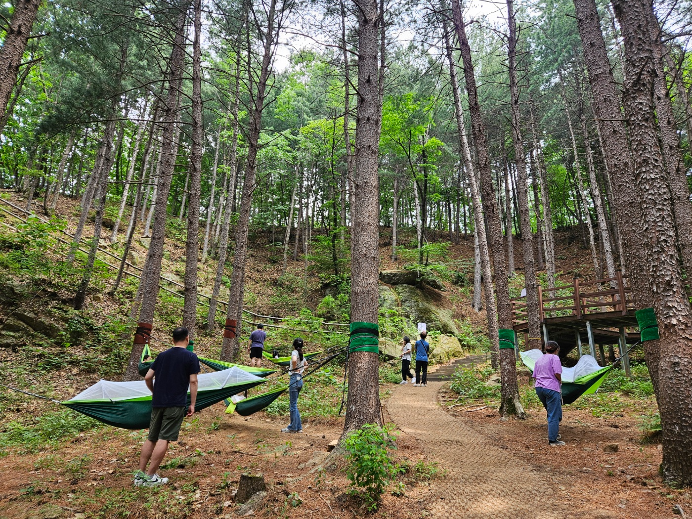 동두천 치유의숲
