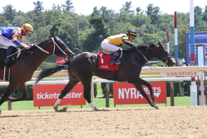한국마사회 씨수말 닉스고 자마 ‘Ewing,’ 美 사라토가서 스페셜 우승