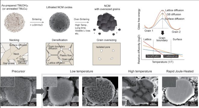 기존 소결 과정 및 급속 줄 가열 통한 소결의 하이니켈 양극재의 미세구조 변화 및 소결 동역학 모식도. 사진=한국연구재단