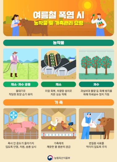 전주시, 폭염 재개 대비 농업·축산 안전망 강화