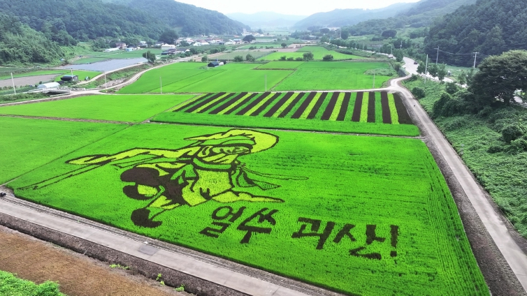 괴산군 유색벼 논 그림 '무동'