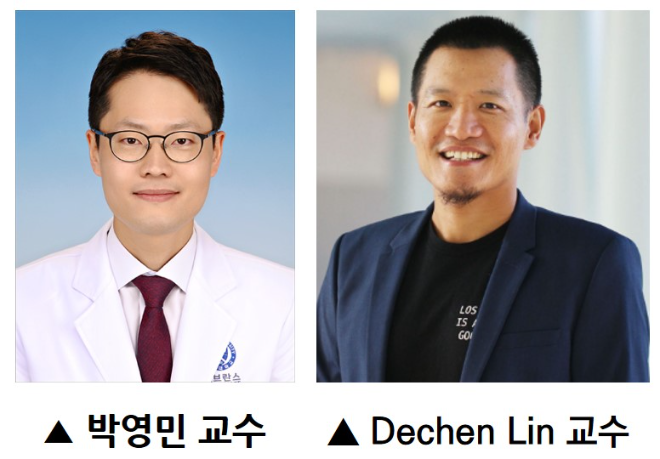 강남세브란스, 세계 최초 두경부암 오가노이드 단일세포 전사체 분석..."항암제 효과 저하 규명"