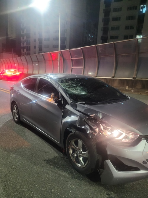 (사진제공=부산경찰청)