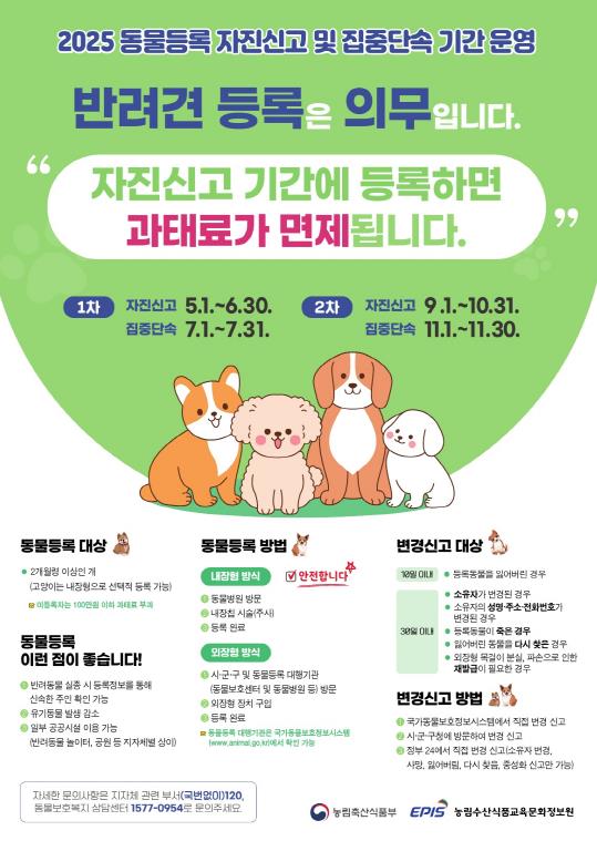 2025 동물등록 자진신고 및 집중단속 기간 운영 포스터