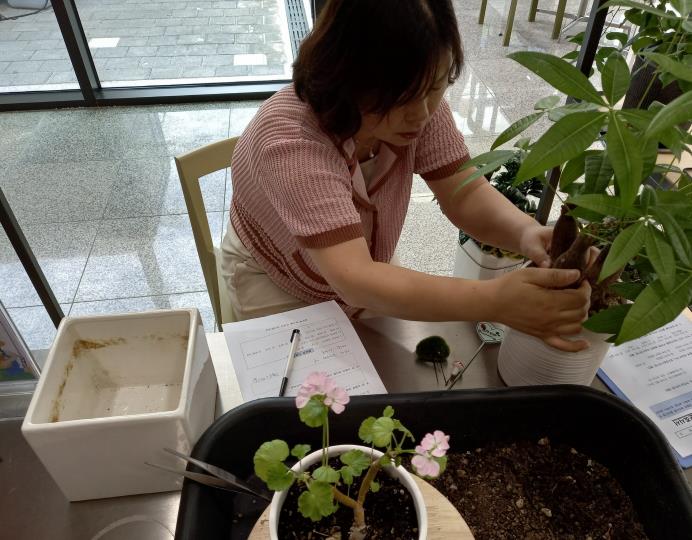 반려식물 클리닉 진행 모습