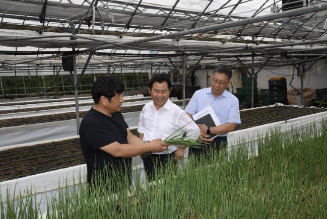 발효 왕겨 활용 쪽파 수경재배 시연회