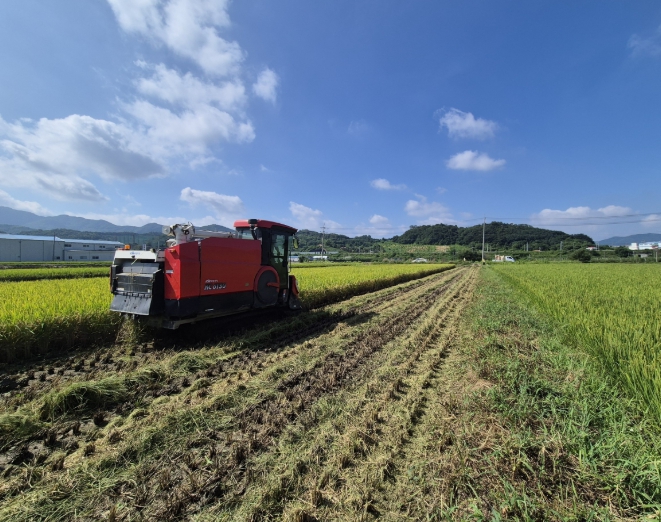 감곡면에서 올해 ‘첫 벼베기’ 실시