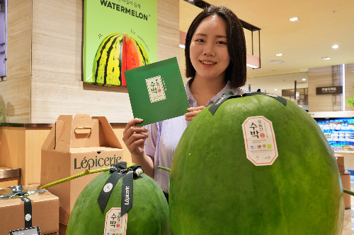 롯데百, ‘무등산 수박’ 선보인다