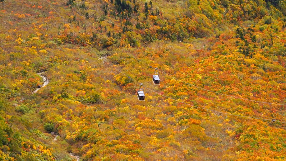 모두투어, 일본 ‘알펜루트’ 상품 라인업 확대